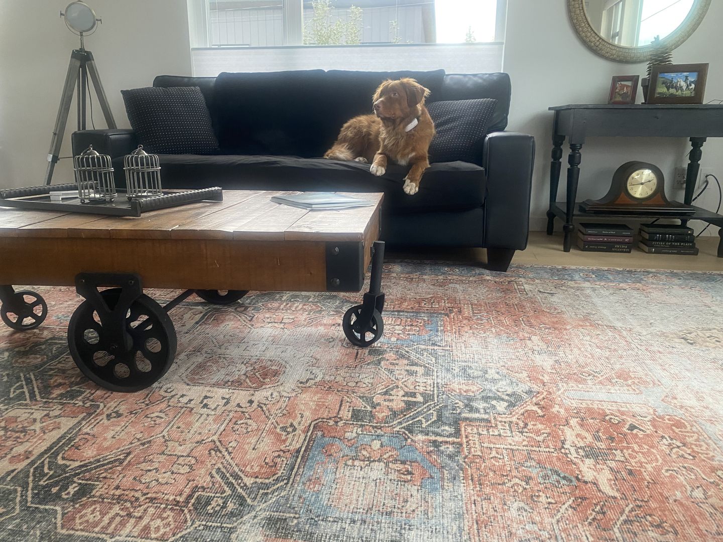 Customer photo review of Distressed Vintage Cezanne Blush Area Rug