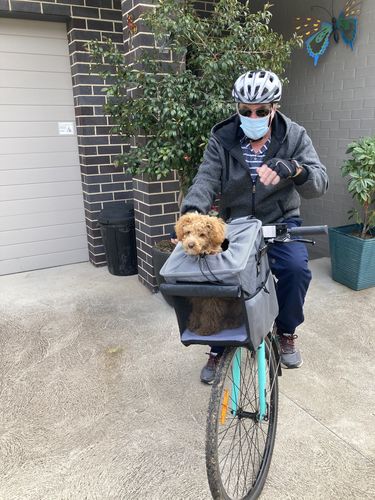 Customer photo review of All In One Pet Carrier Bag | Dog Bike Basket | Backpack for Dogs & Cats | Car Booster Seat