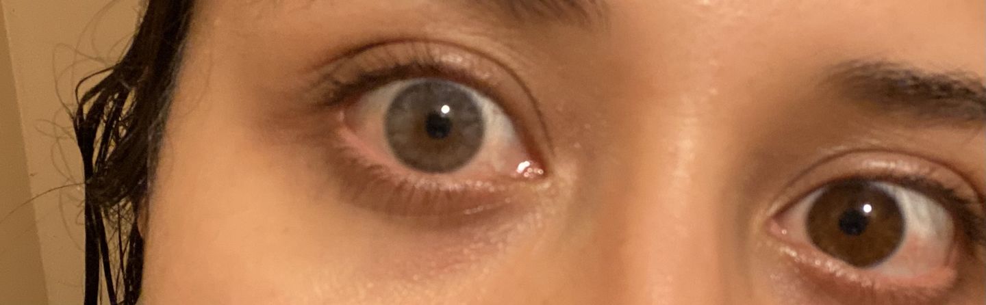Customer photo review of Siesta Crystal Iris Gray