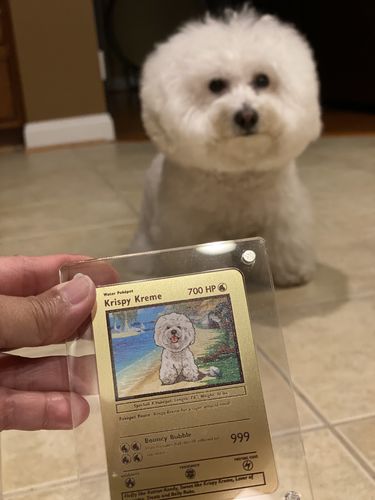 Customer photo review of Stat Pet Card