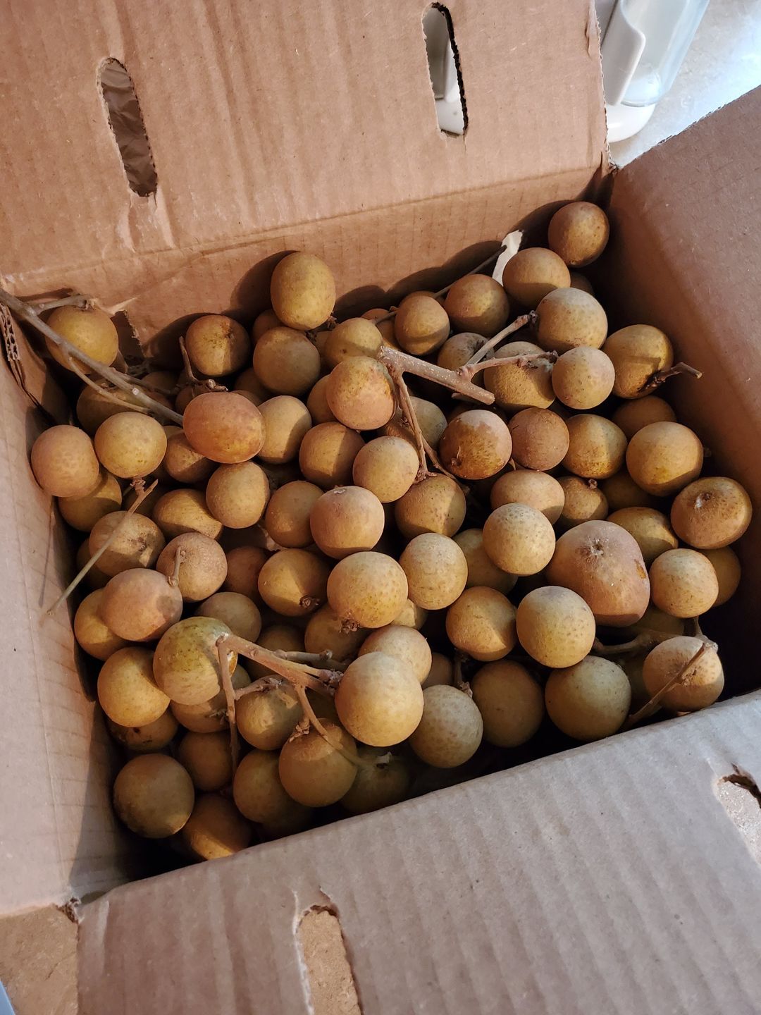 Customer photo review of Longan Box