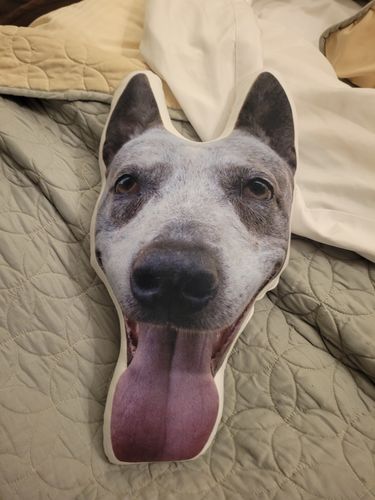 Customer photo review of Create A Custom Dog Pillow