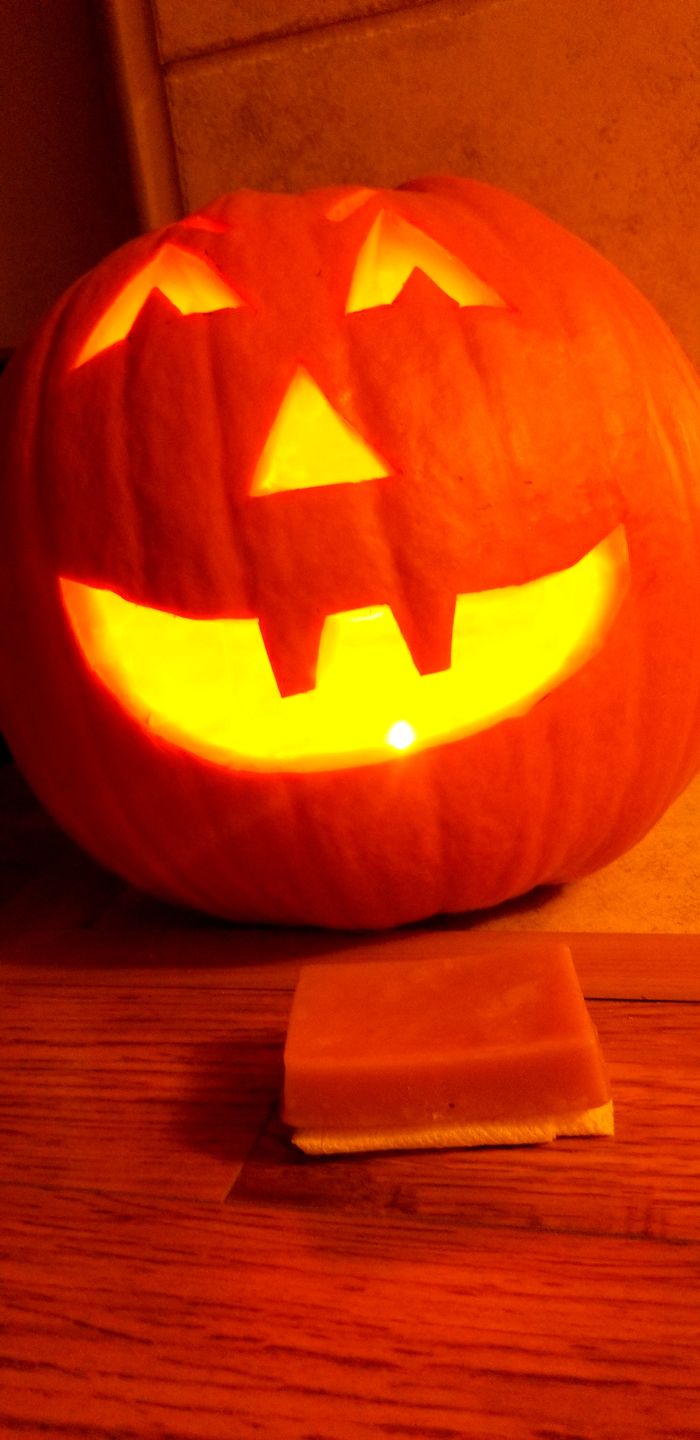 Customer photo review of Pumpkin Pie