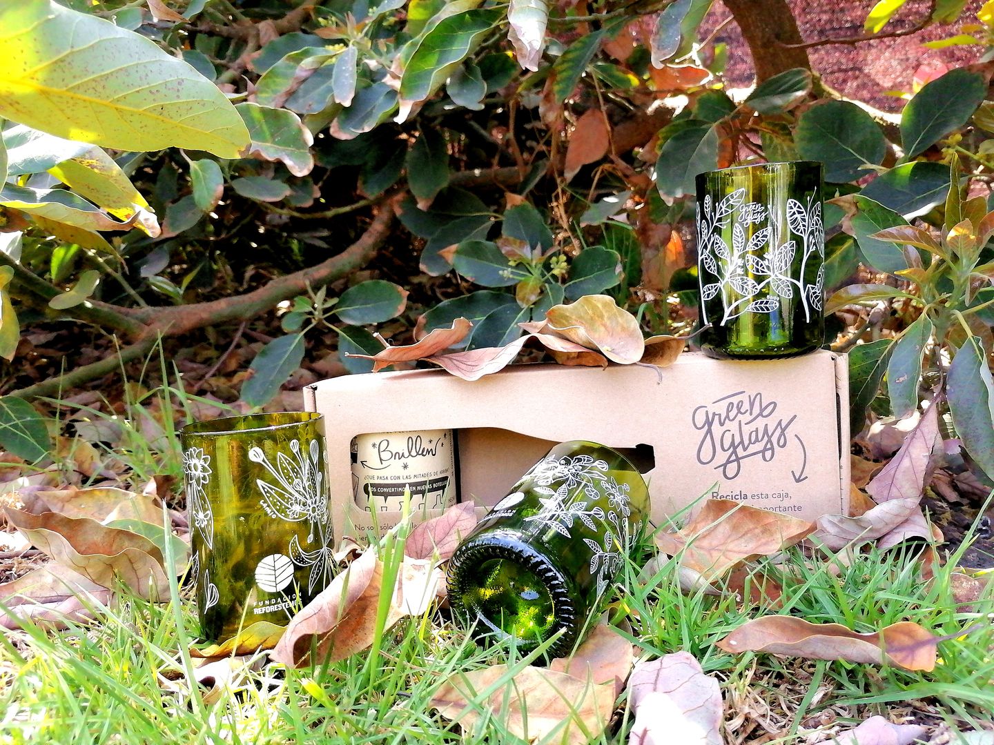Customer photo review of Reforestemos Juego de 4 Vasos