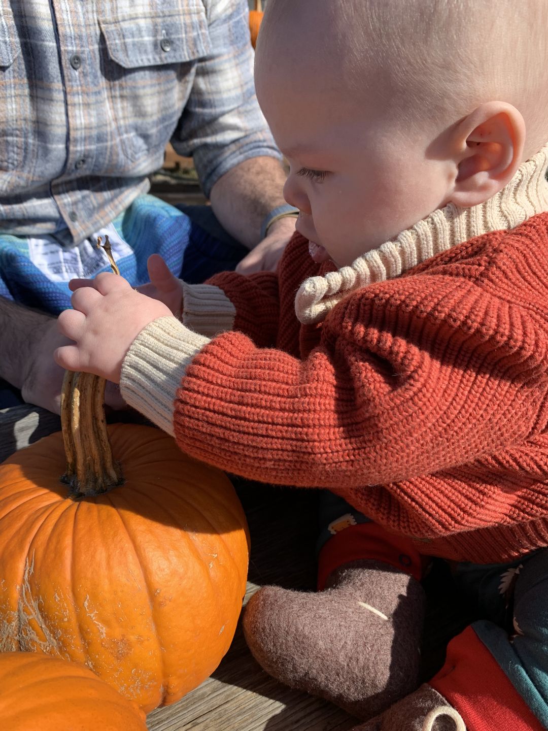 Customer photo review of From One To Another Burnt Ochre Snuggly Knitted Cardigan