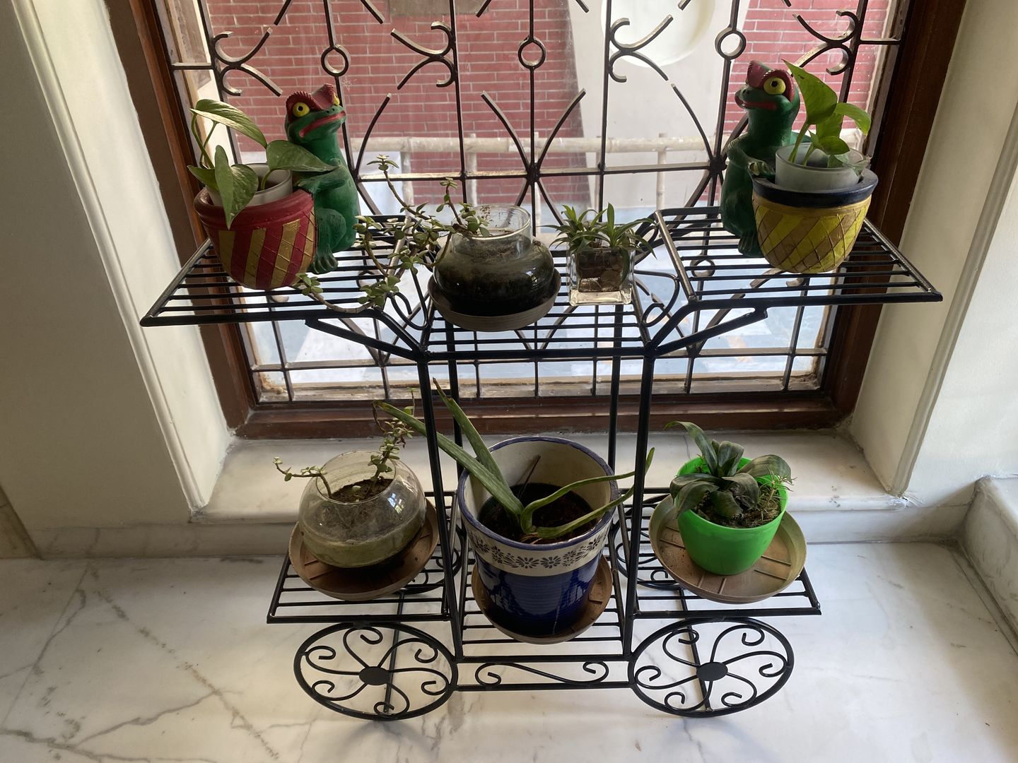 Customer photo review of 6-Tier Cart Planter Stand, Outdoor Flower Rack