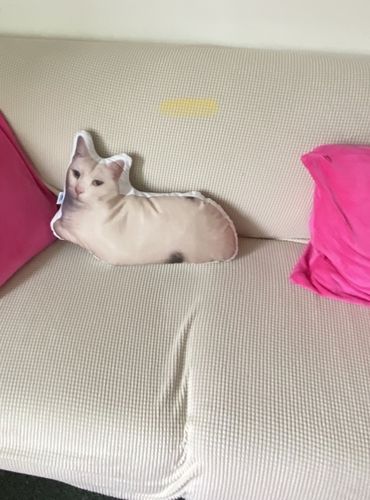 Customer photo review of Create A Custom Dog Pillow