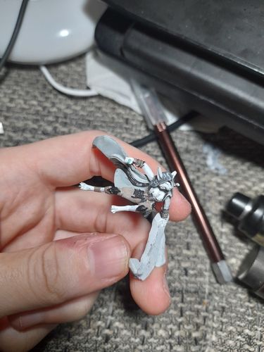 Customer photo review of Mianna, the Highflyer (T - F)