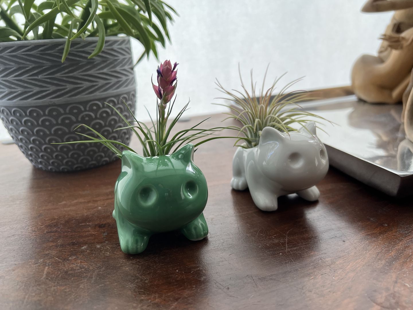 Customer photo review of Bulbasaur Planter  (Includes Drainage Hole For Non Air Plants)