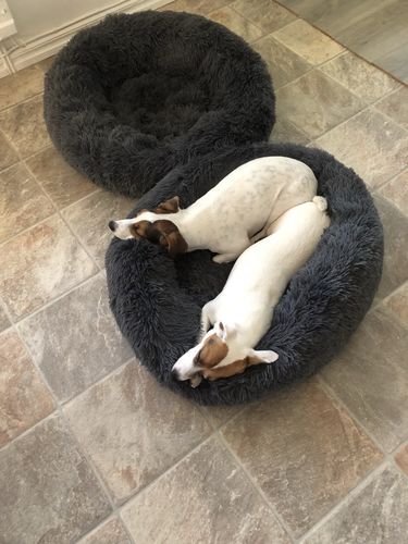 Customer photo review of CalmBed  - Motverkar stress & hjälper mot ångest