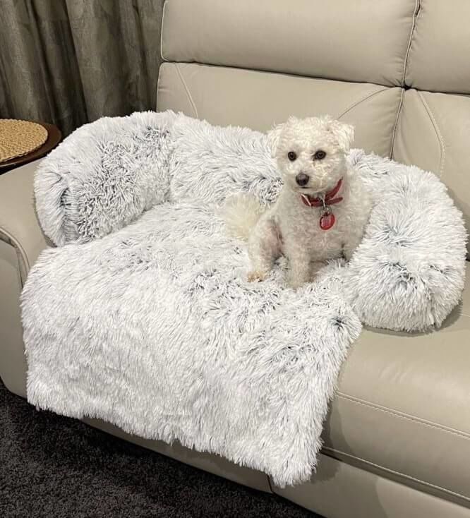 Customer photo review of Coussin Protecteur & Ultra Confortable PuppySafe