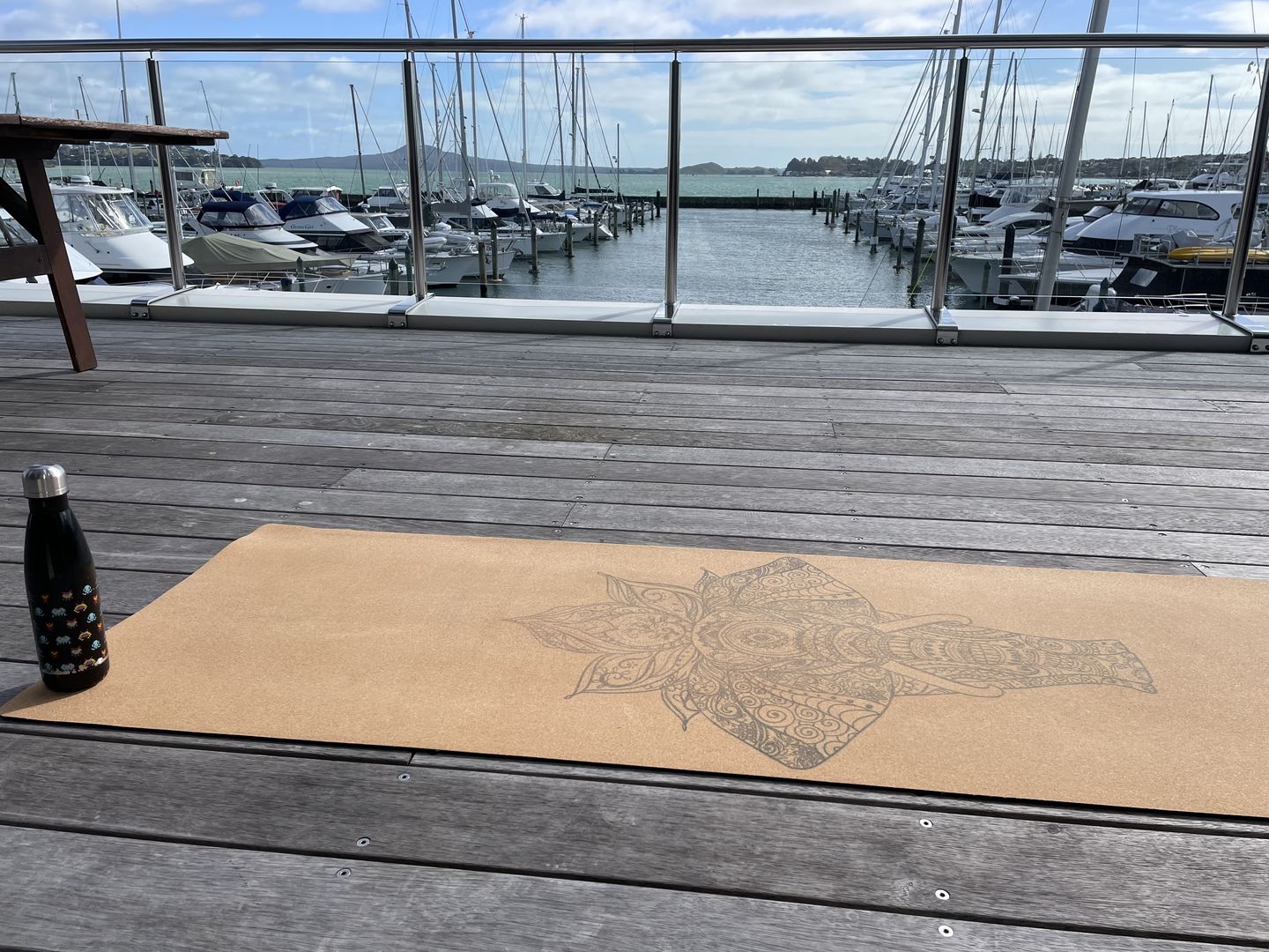 Customer photo review of Elephant Yoga Mat