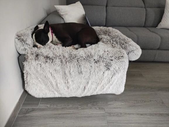 Customer photo review of Coussin Protecteur & Ultra Confortable PuppySafe