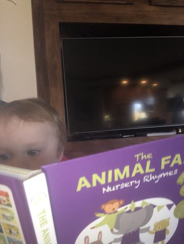 Customer photo review of The Animal Fair Nursery Rhymes