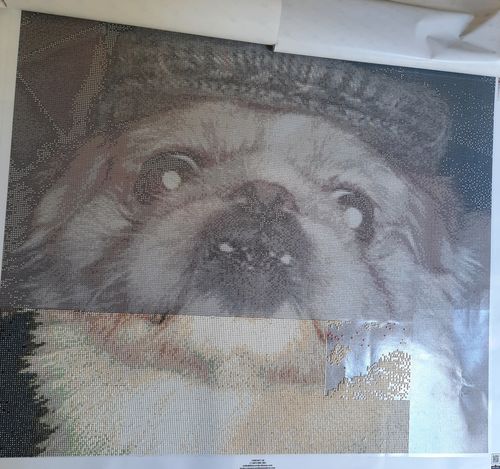 Customer photo review of Custom Diamond Painting Kits for Adults DIY 5D - Photo Diamond Art Shipped from USA
