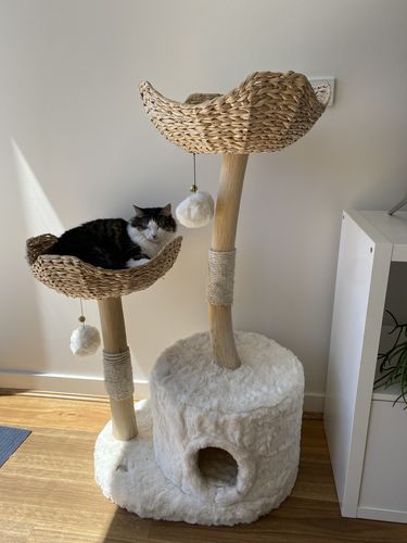 Customer photo review of Furrytail Selected Real Wood Cat Tree