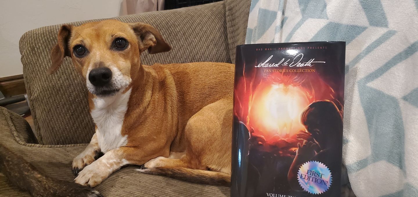 Customer photo review of Scared To Death Book Vol Two UNSIGNED