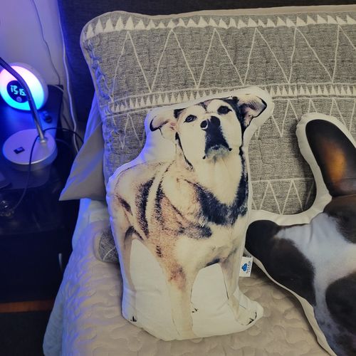Customer photo review of Create A Custom Dog Pillow