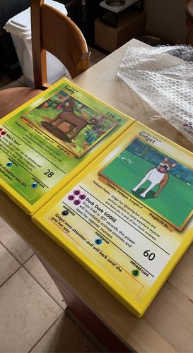 Customer photo review of PokePet Canvas