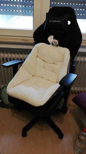 Customer photo review of HexoSeat™ Sciatica & Connyx Pain Relief Cushion