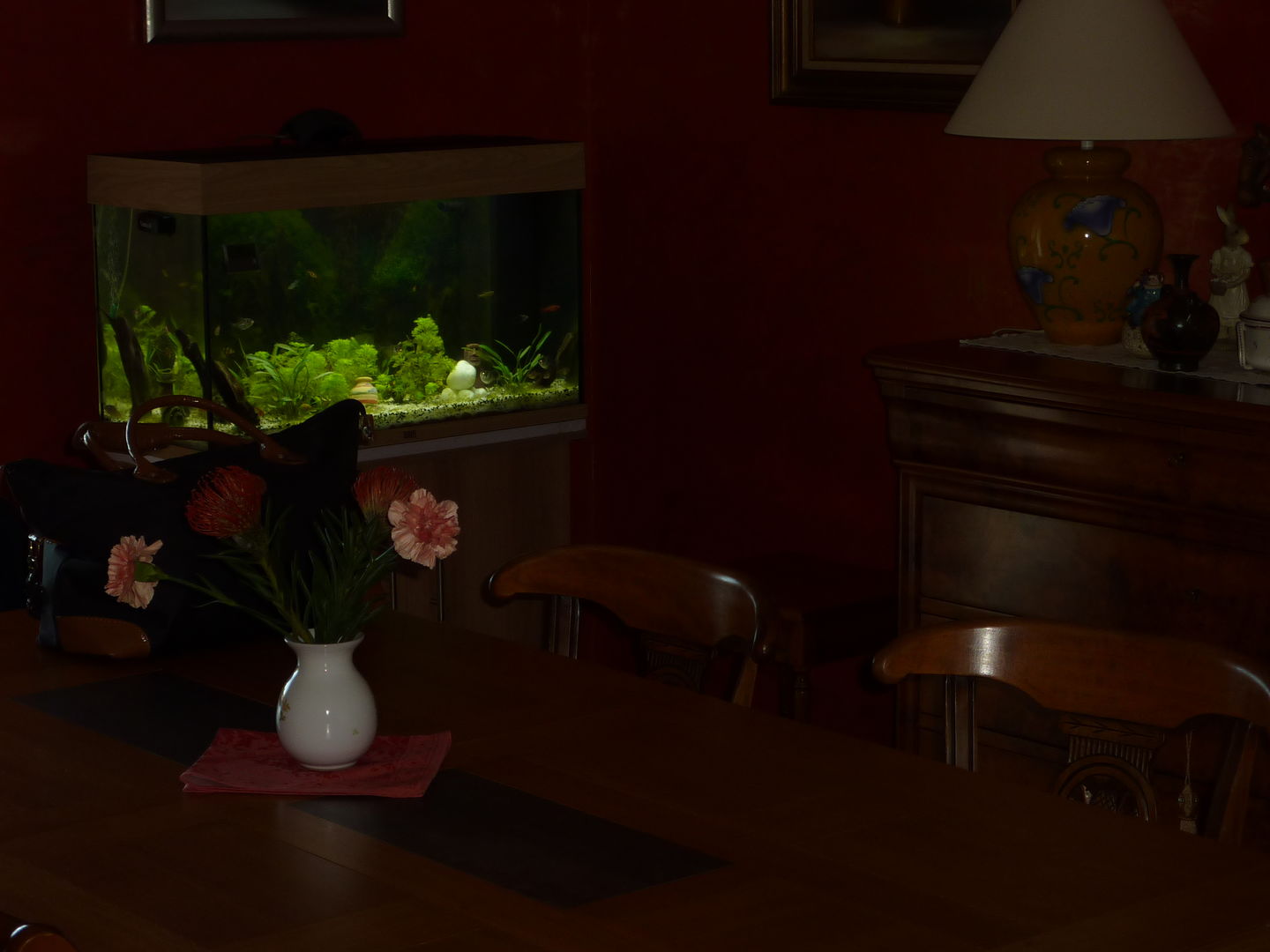Customer photo review of Aquarium Rio 125 LED Chêne Équipé JUWEL - 125L