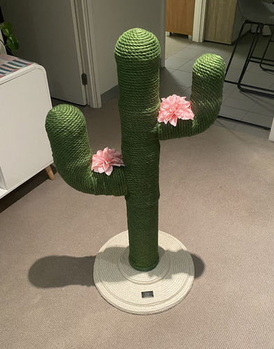 Customer photo review of Vetreska Modern Cat Scratching Post