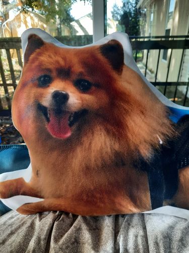 Customer photo review of Create A Custom Full Body Shaped Pillow