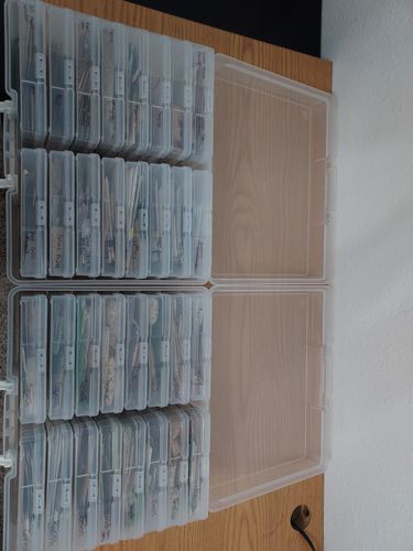 Customer photo review of Heirloom Vegetable Seeds - (55 Variety)