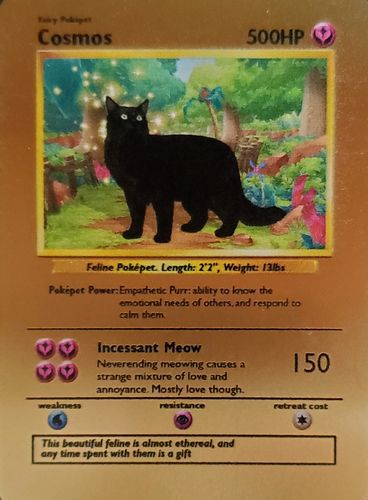 Customer photo review of Product options