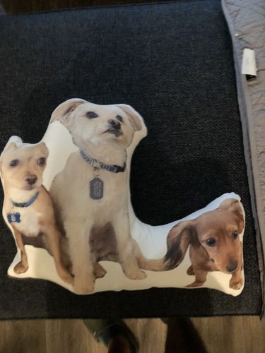 Customer photo review of Create A Custom Dog Pillow