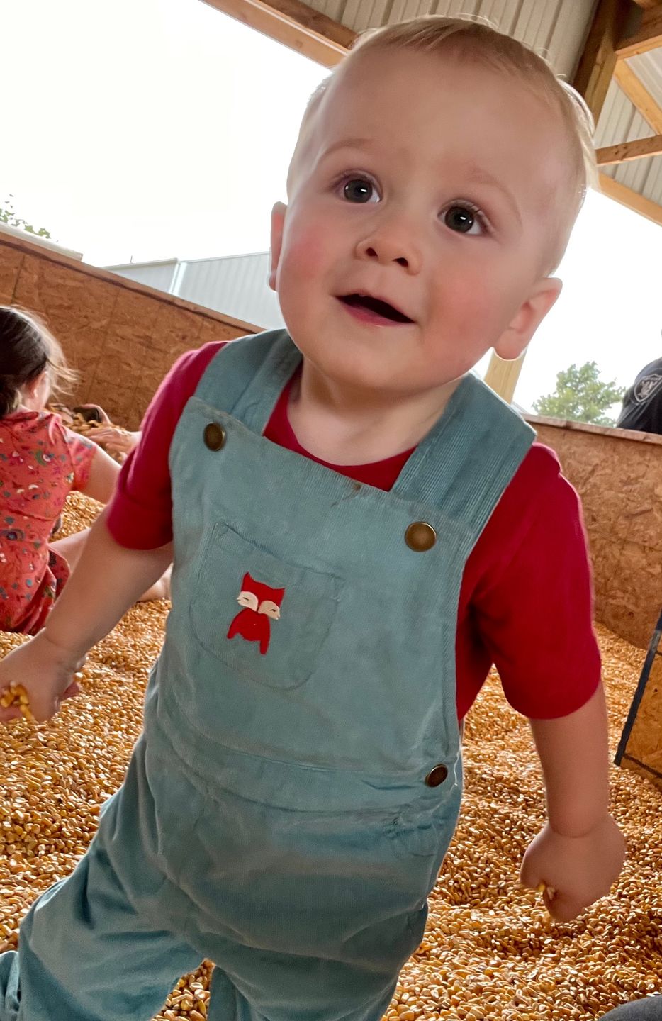Customer photo review of Embroidered Fox Classic Dungarees