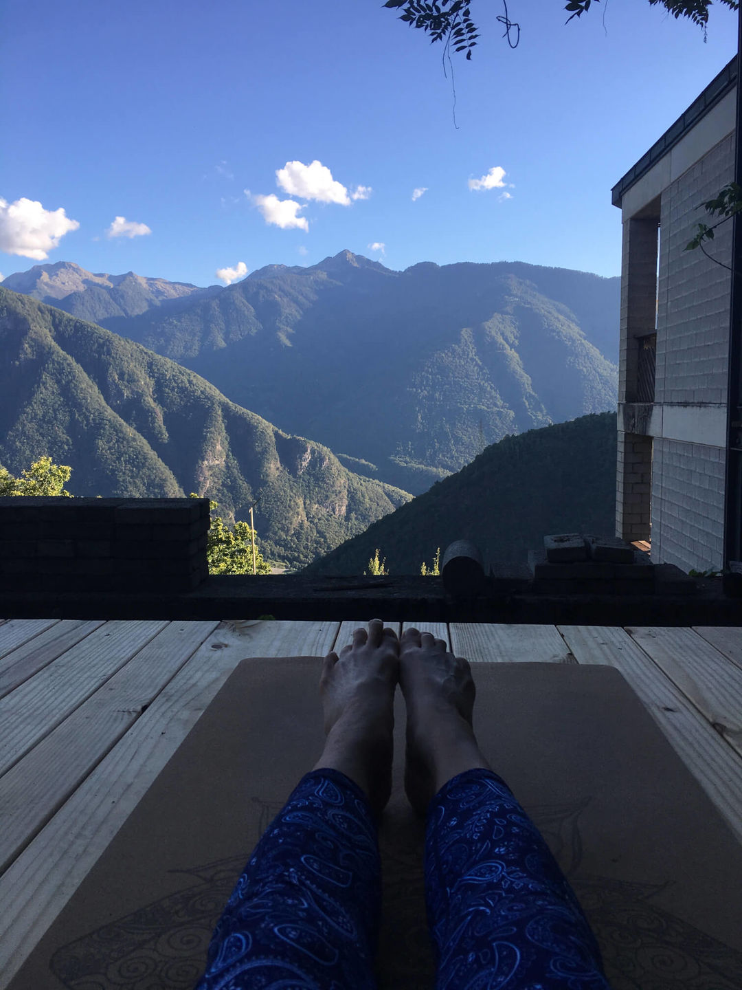 Customer photo review of Elephant Yoga Mat