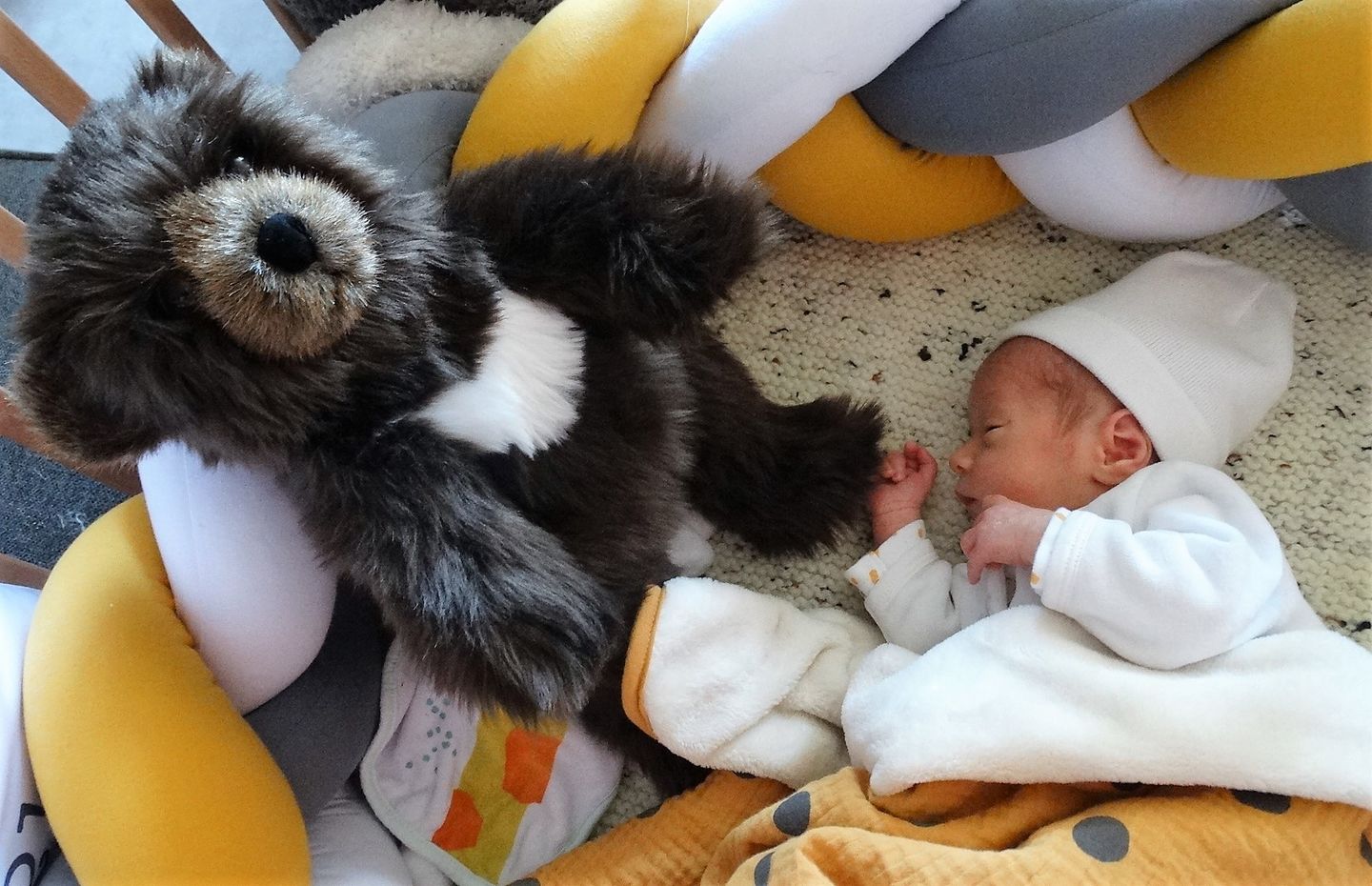 Customer photo review of Ma peluche Ours brun Gabin