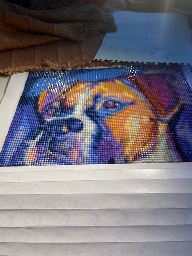 Customer photo review of American Diamond Art Boxer Colors Diamond Painting PL00340