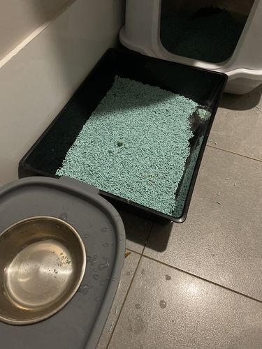 Customer photo review of Furrytail Michu Natural Clumping Tofu Cat Litter 2.5kg/6L
