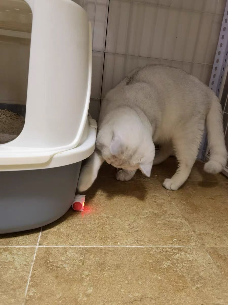 Customer photo review of Mayitwill Little Snow Monster Automatic Cat Toy