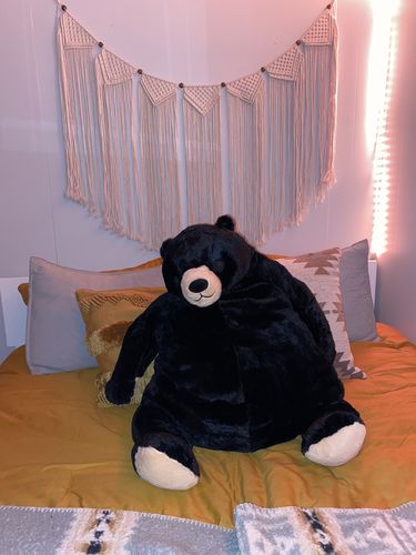 Customer photo review of SKOGGY BEAR