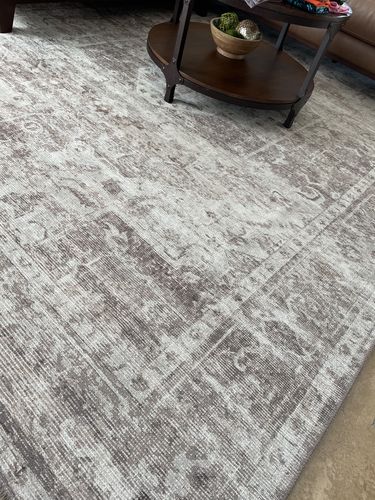 Customer photo review of Chateau Beige Rug