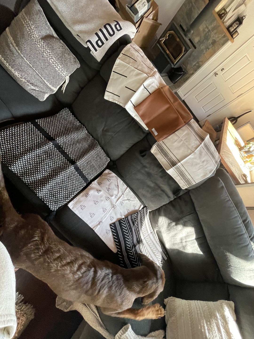 Customer photo review of Random Grab Bag - 6 Pack - Big Savings