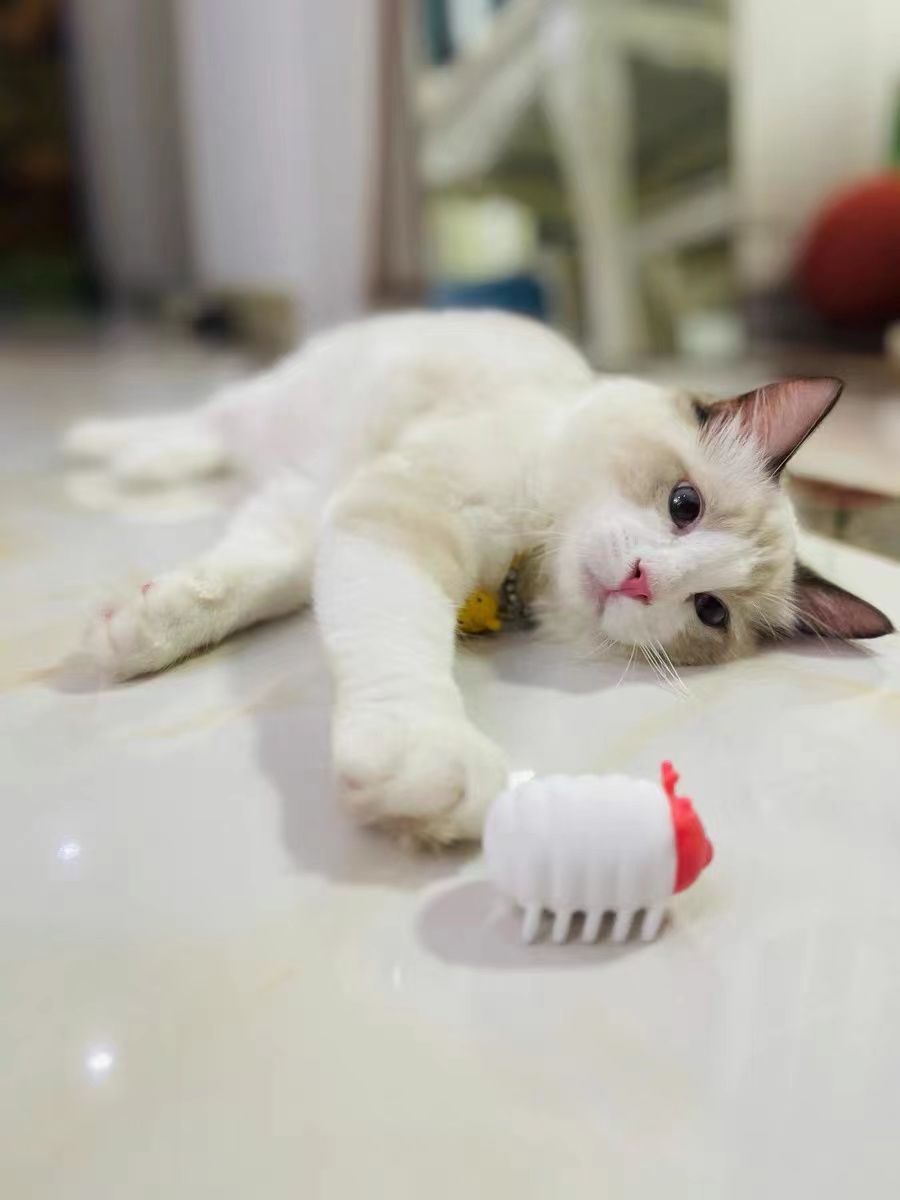 Customer photo review of Mayitwill Little Snow Monster Automatic Cat Toy