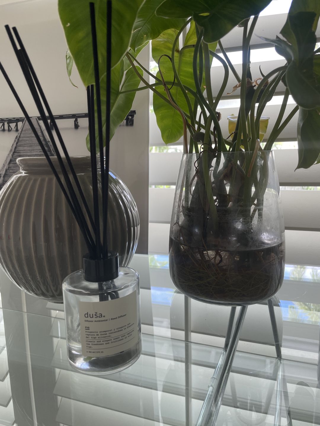 Customer photo review of Difusor Ambiental 150 ml Fig