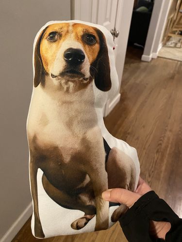 Customer photo review of Create A Custom Dog Pillow
