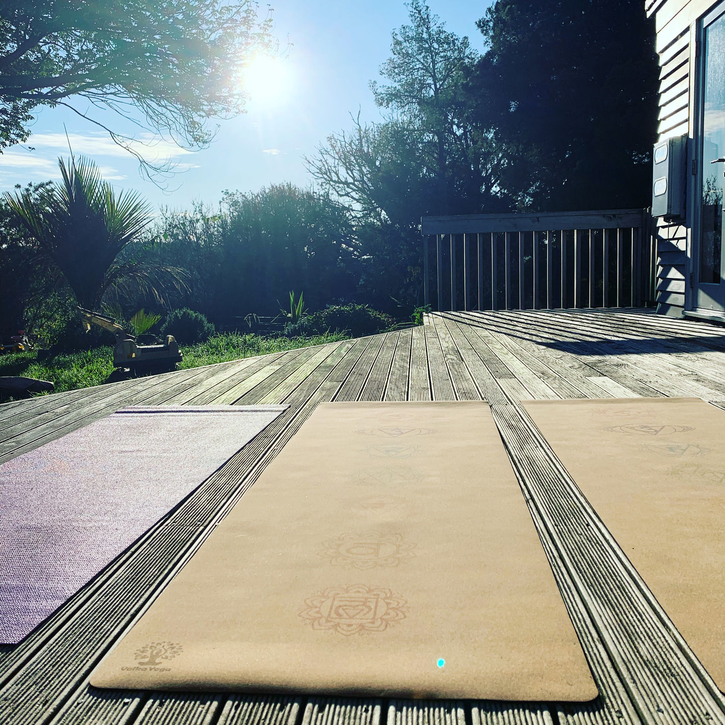 Customer photo review of Chakra Yoga Mat