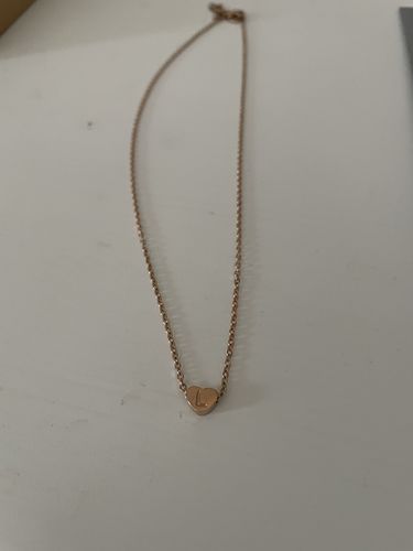Customer photo review of Dainty Flower Girl Initial Heart Necklace