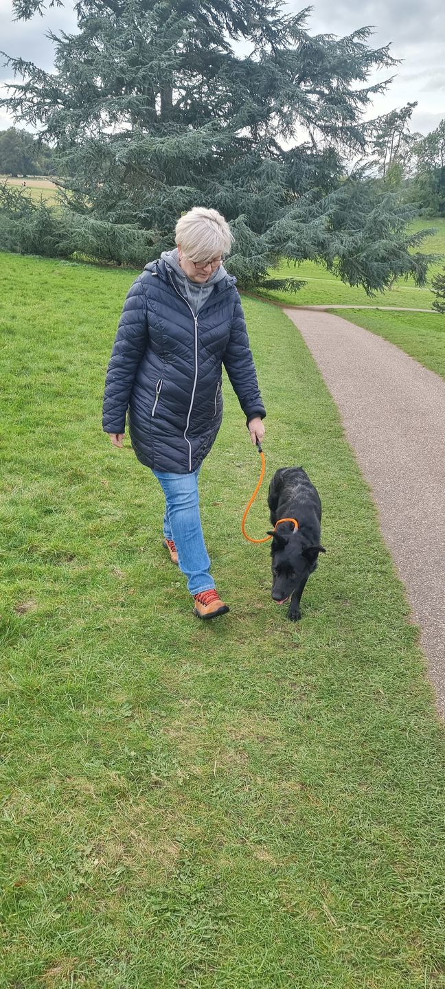 Customer photo review of Slip Lead | Anti-Pull & Anti-Choking Training Lead - Orange