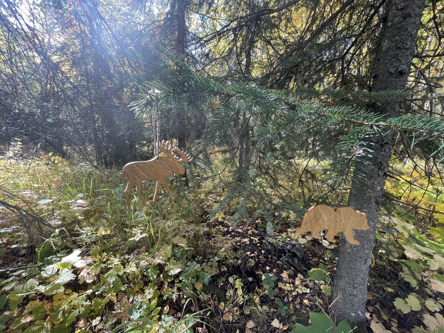 Customer photo review of Unfinished Wooden Moose Shape - Animal - Craft - up to 24" DIY