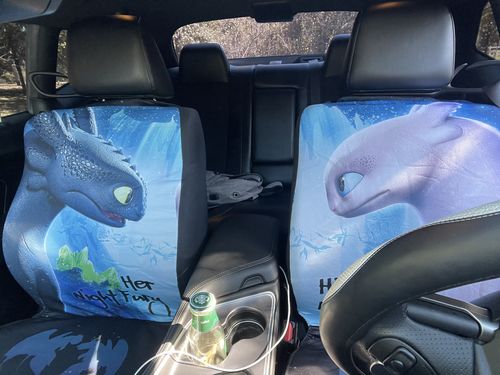 Customer photo review of Night Fury and Light Fury Car Seat Covers Custom Couple Car Accessories