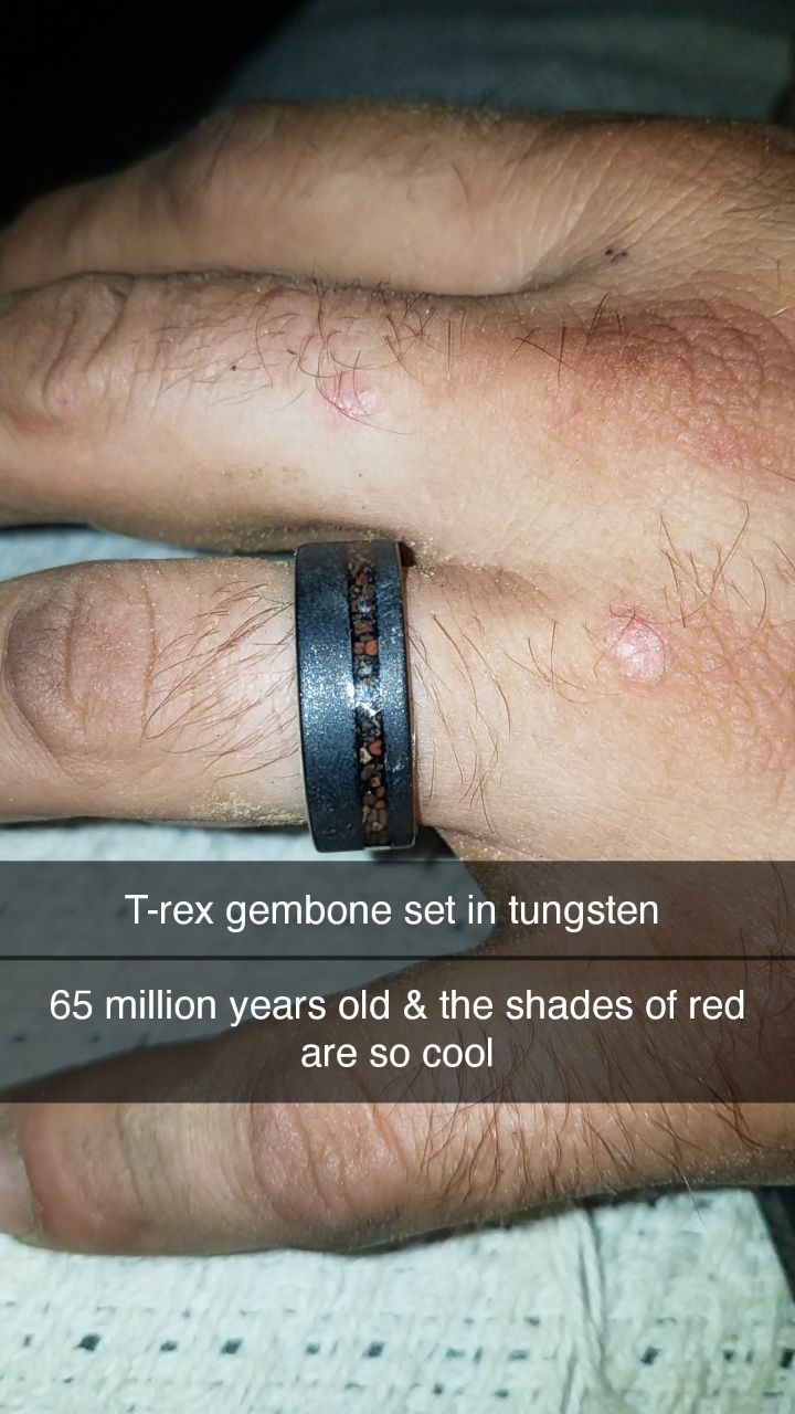 Customer photo review of The T-Rex