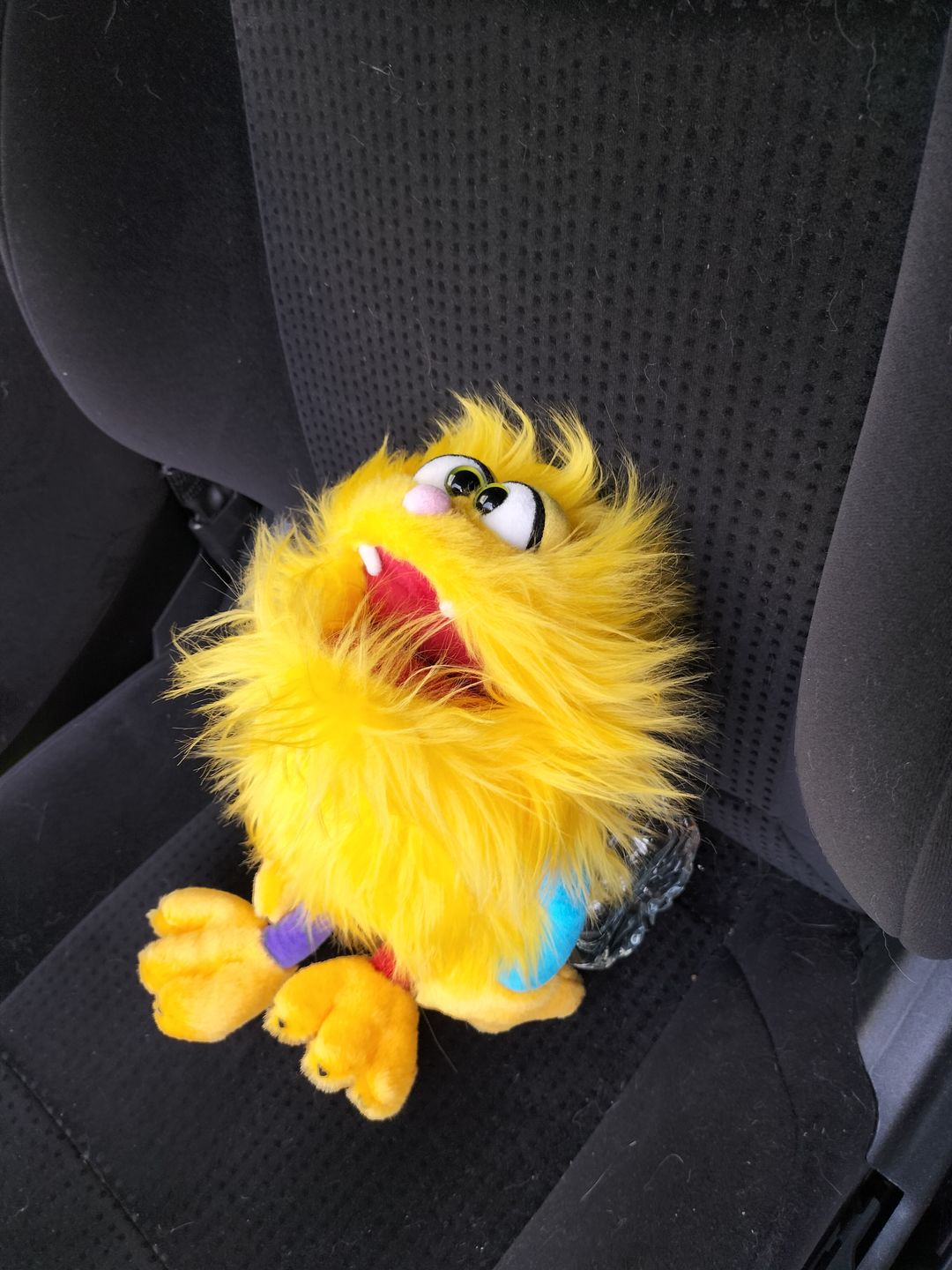 Customer photo review of Marionnette Chamicki Monstre Jaune