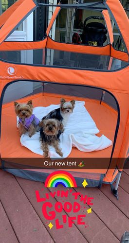 Customer photo review of Pop N' Go® Playpen